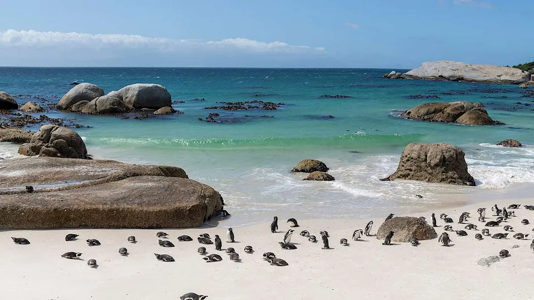Discover South Africa
