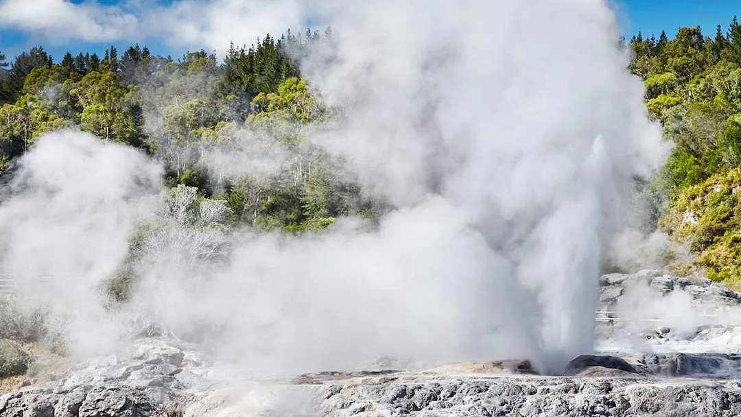 Scenic New Zealand for non-drivers