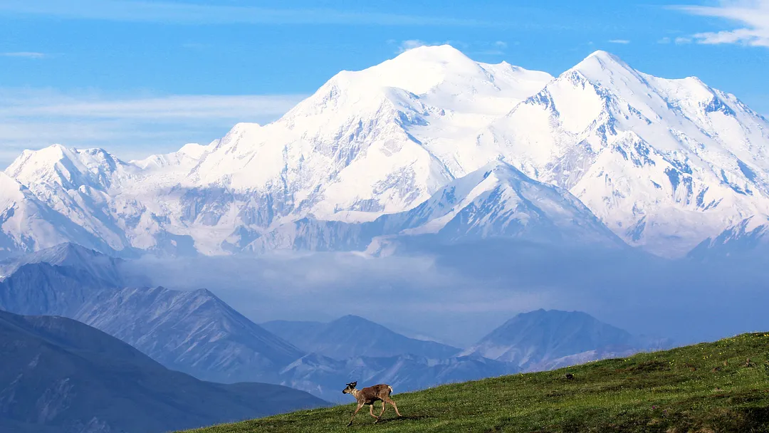 Yukon & Denali