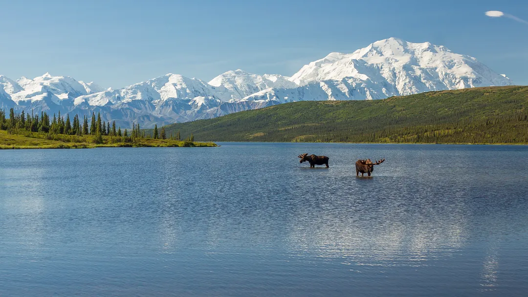 Alaska Wilderness & Coast by Rail