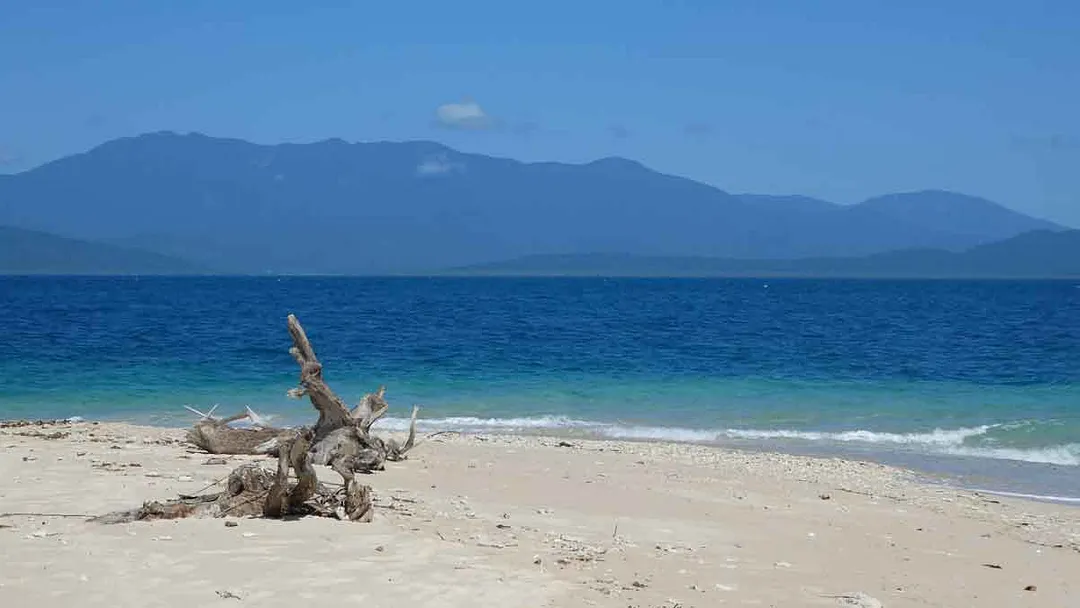 Quintessential Queensland