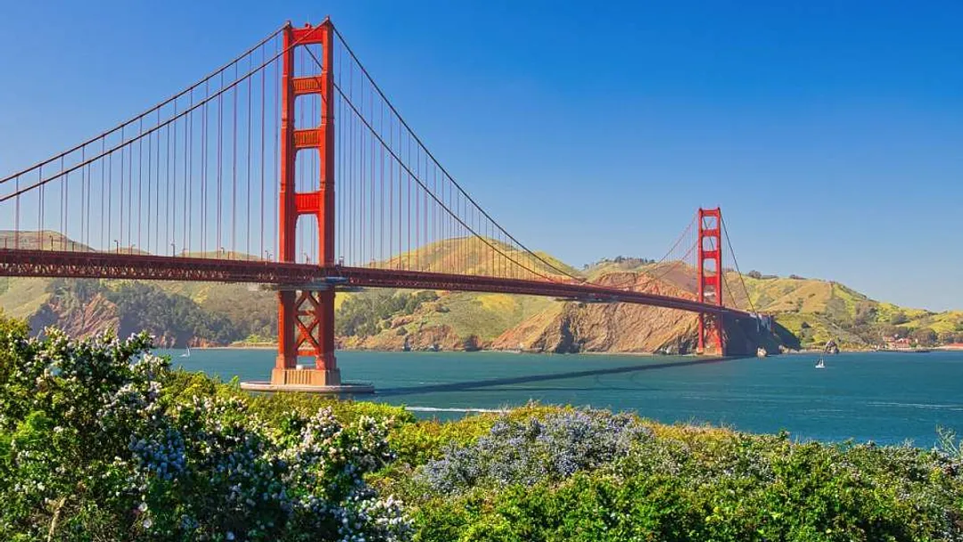 Signature California in Style