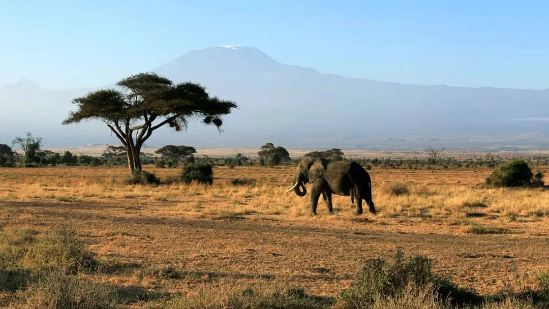 Ultimate Tour: In the Footsteps of the Great Migration