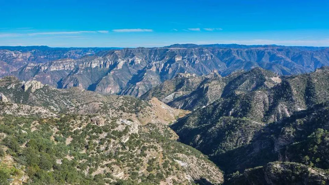 Baja and the Copper Canyon