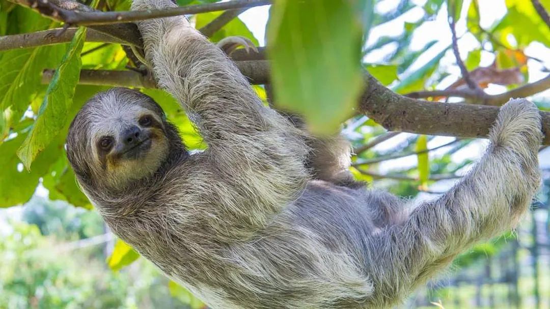 Costa Rica Adventure (self-drive)