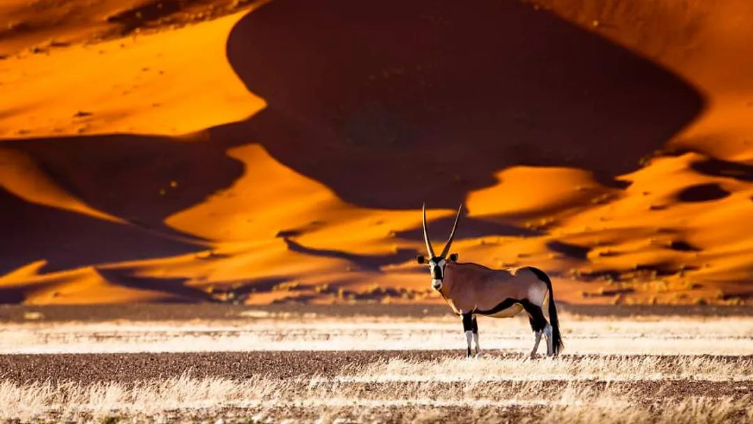 Namibia: Untouched Wilderness