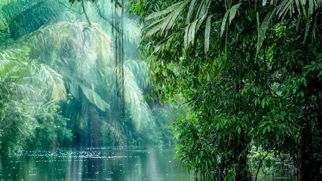 Panama and Costa Rica Experience (Solo Travellers Tour)