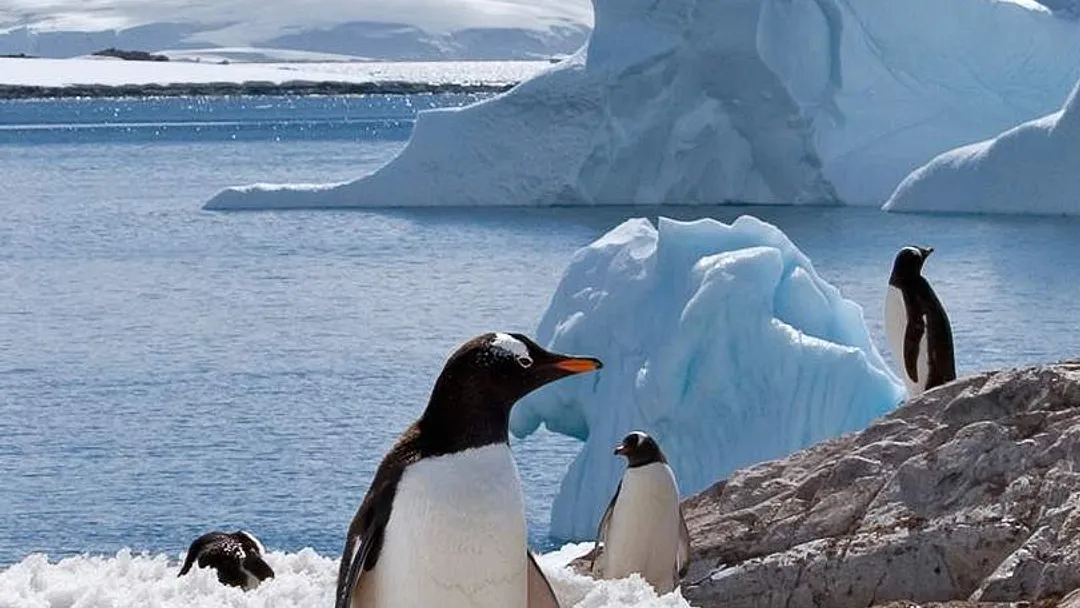 Classic Antarctica