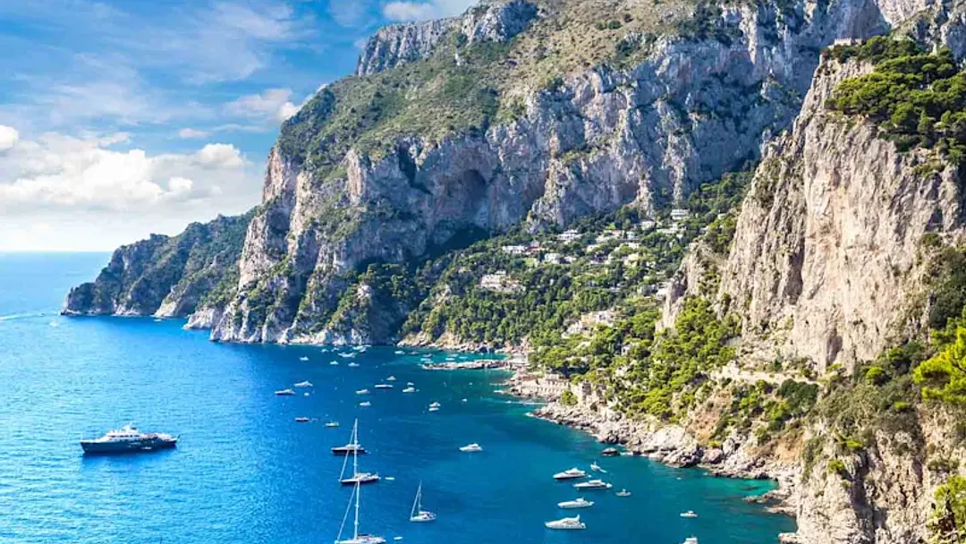 Italian Delights