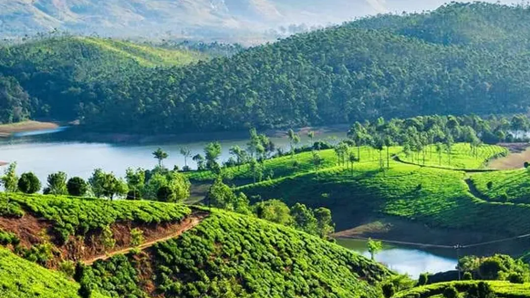 Walking in Kerala