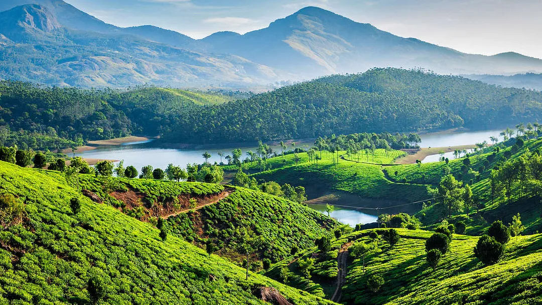Walking in Kerala