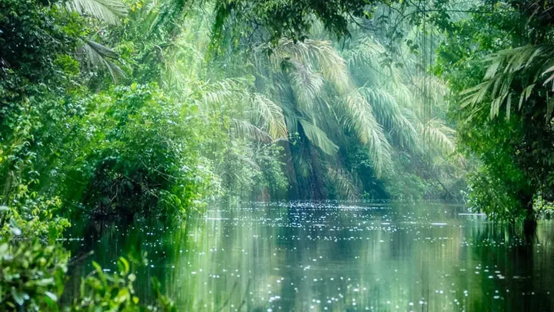 Costa Rica Wildlife Tour