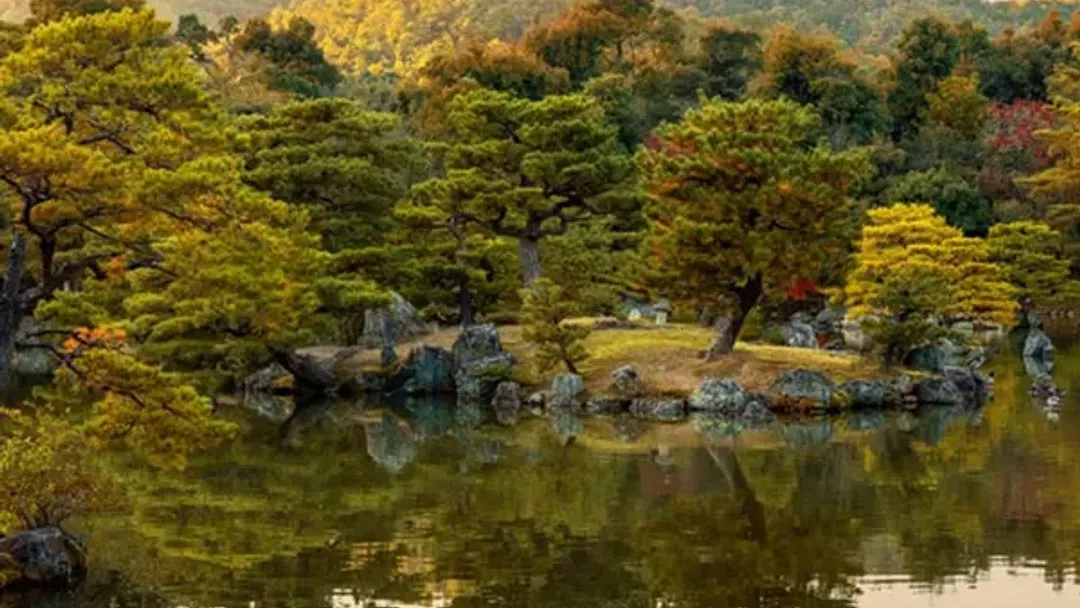 Upgraded - Discover Japan
