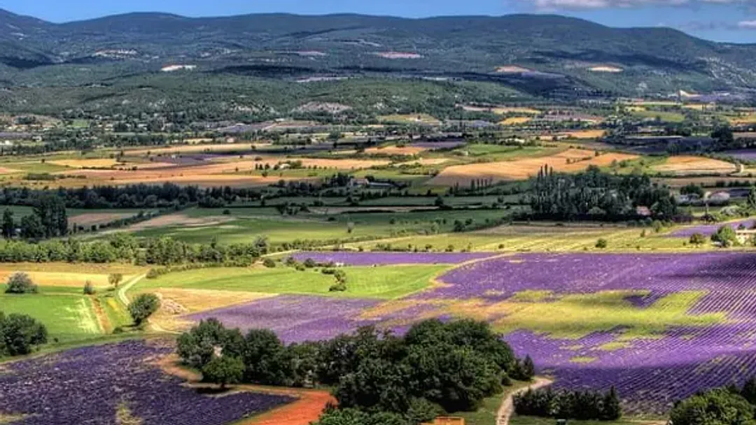 Cycle Provence
