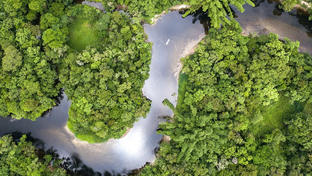 Brazilian Amazon by Boat