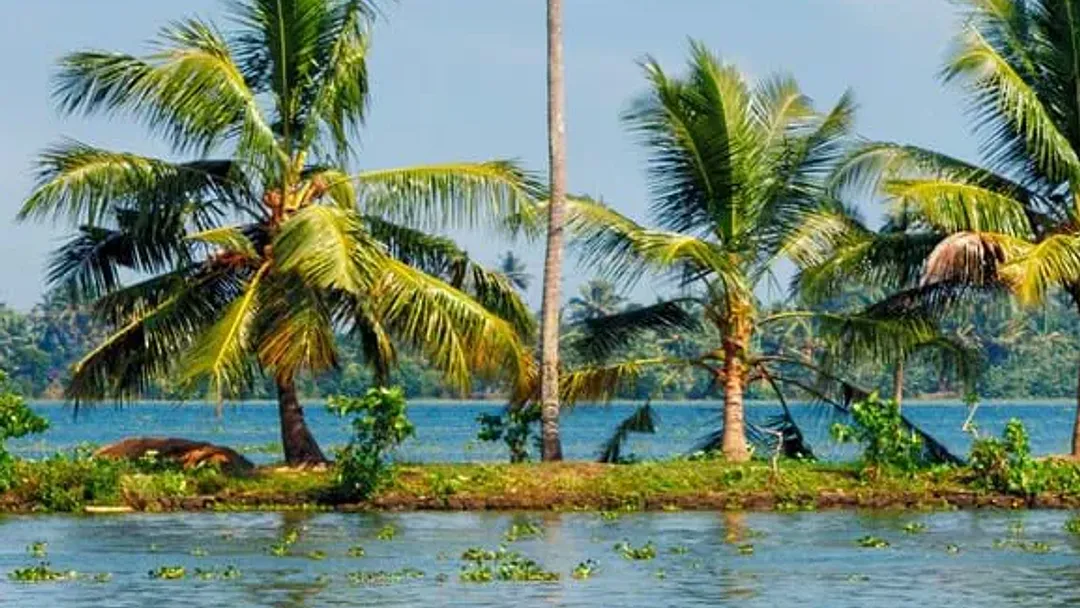 Upgraded - South India: Kerala to Goa