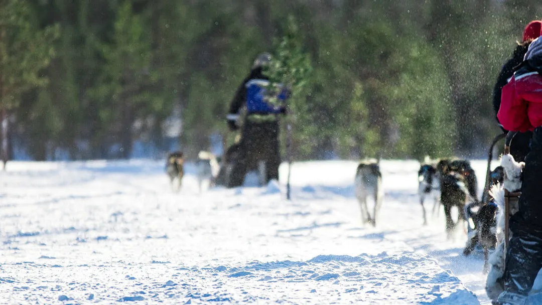 Finnish Lapland Winter Adventure