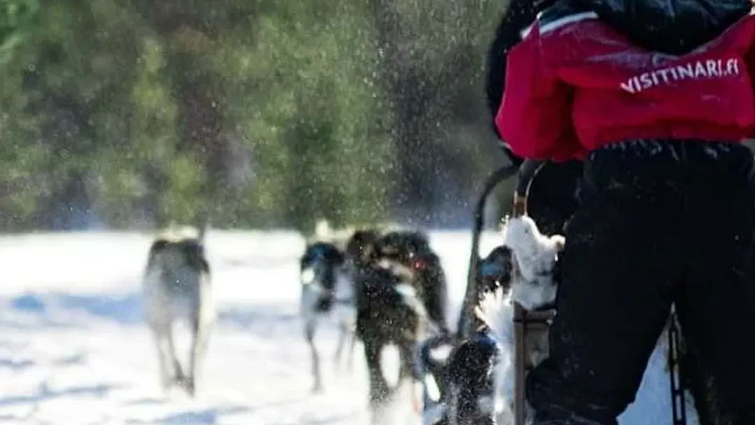 Finnish Lapland Winter Adventure