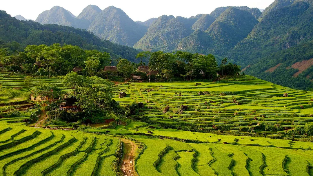 Walking in Vietnam