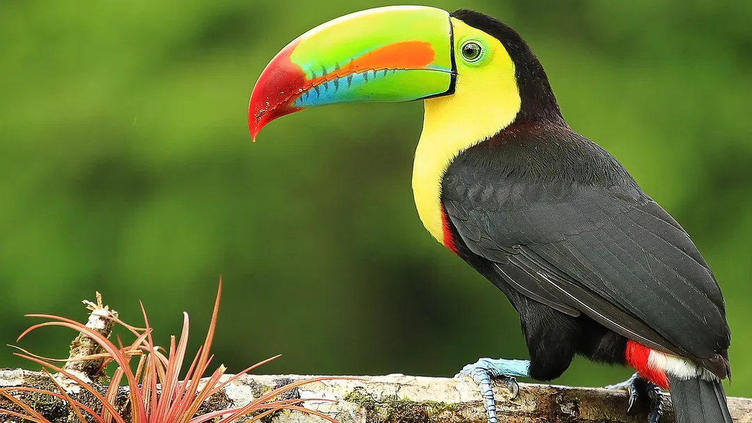 Highlights of Costa Rica