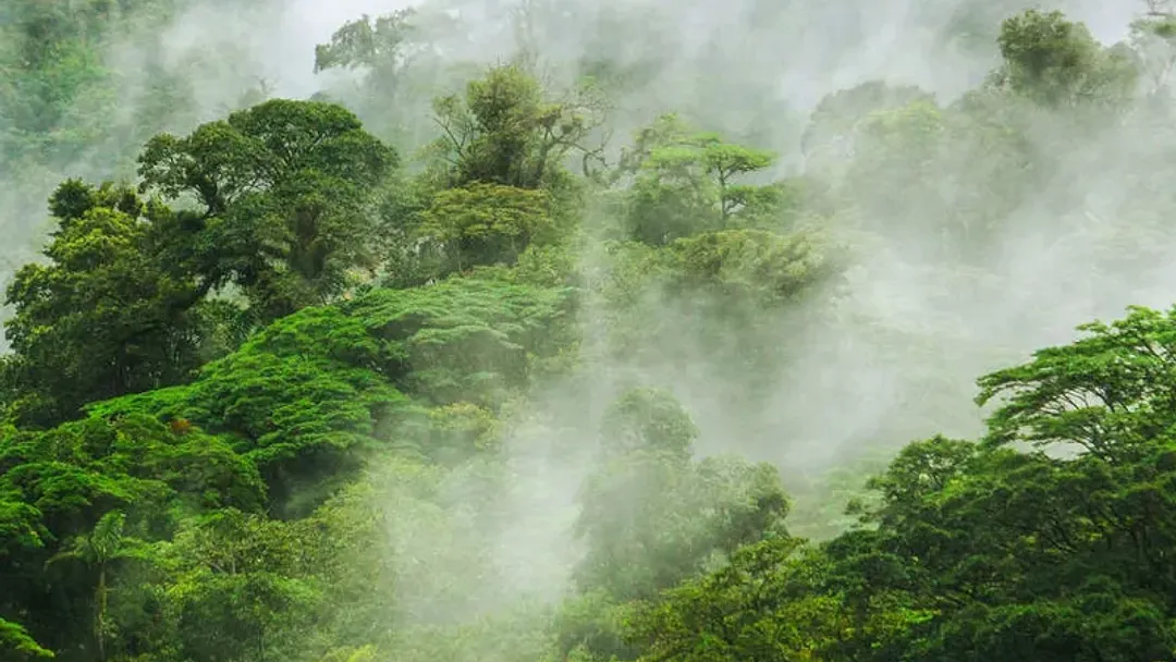 Highlights of Costa Rica