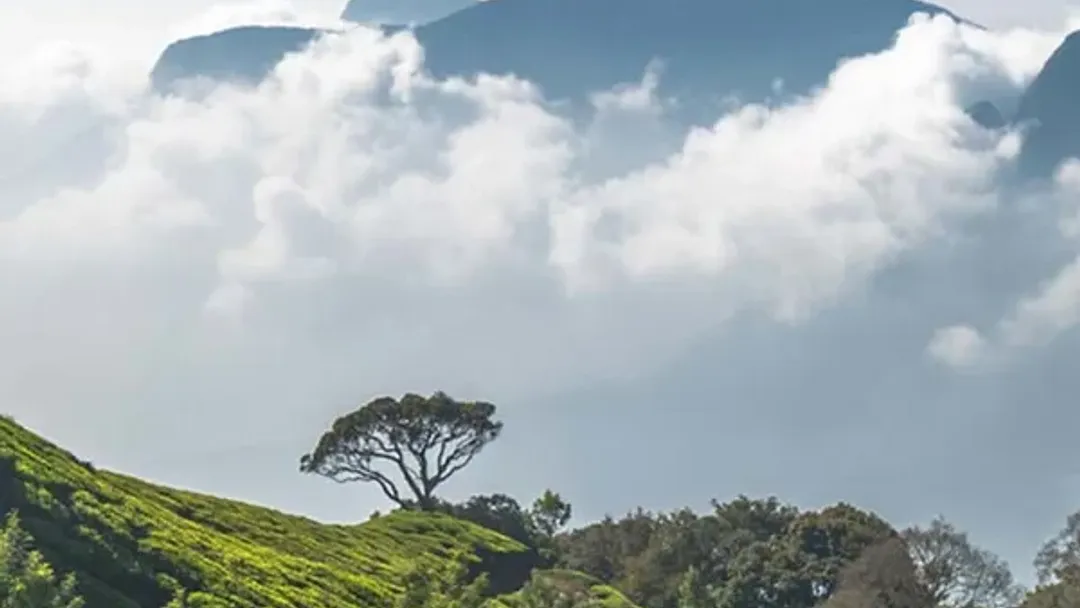 Cycle Kerala