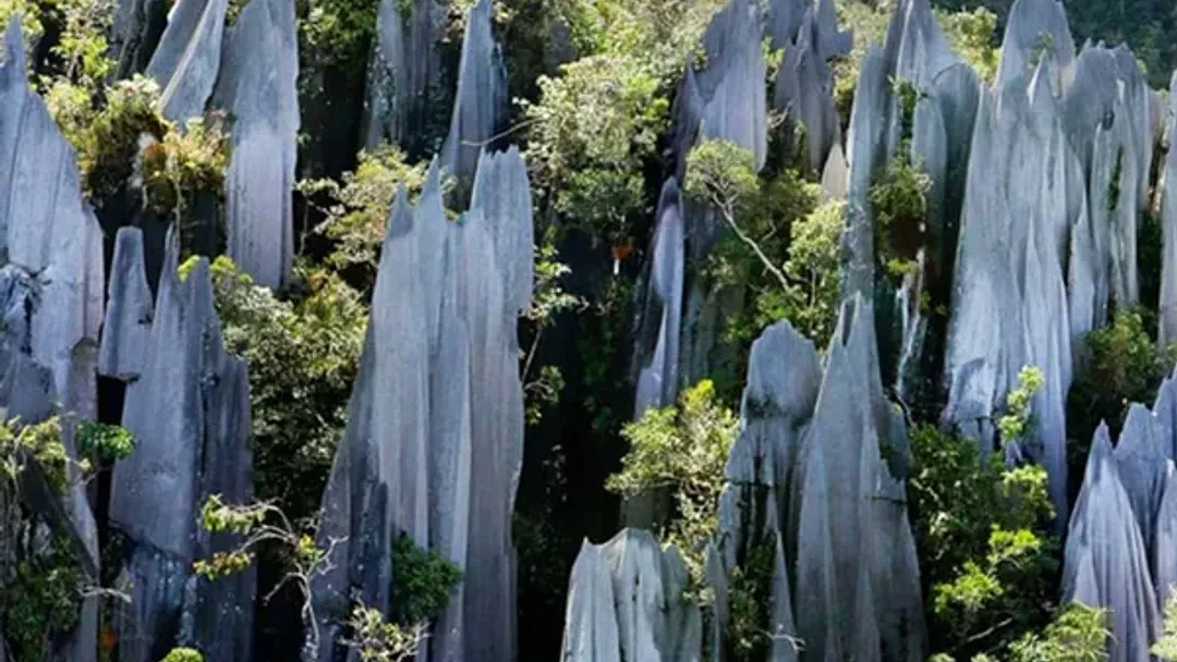 Borneo Sarawak Highlights