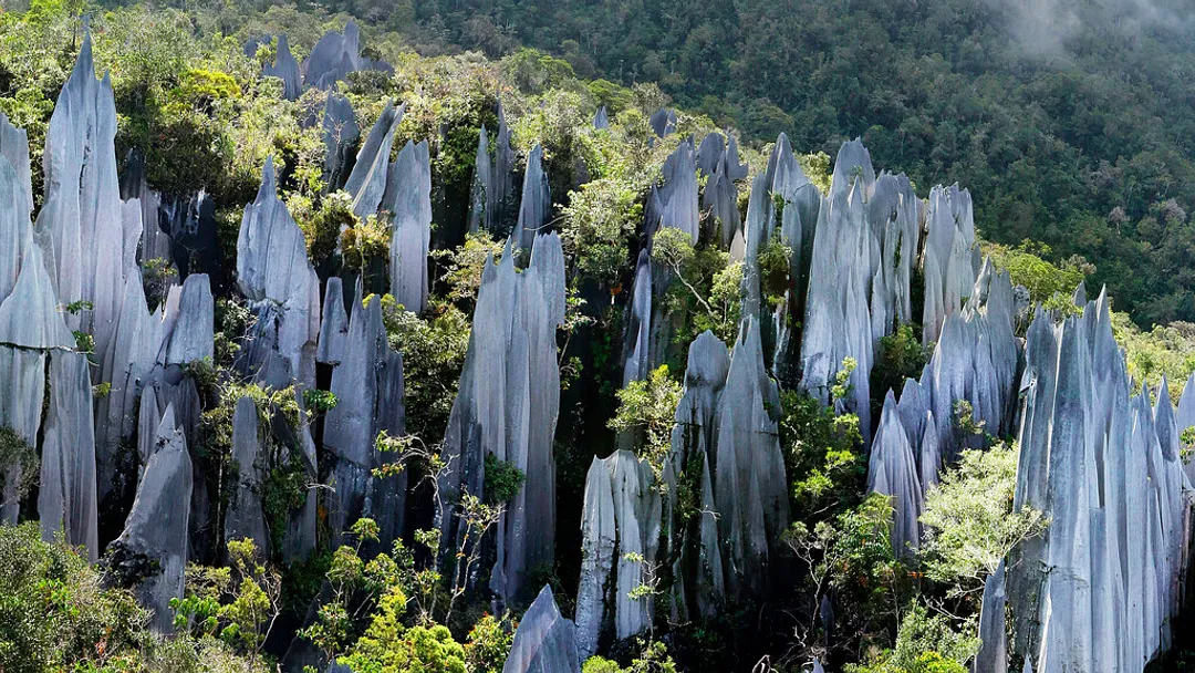 Borneo Sarawak Highlights