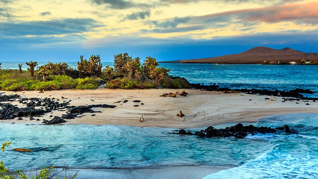 Galapagos Express - Central & West Islands aboard the Archipel I