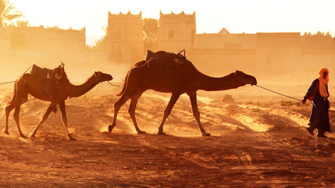 Highlights of Morocco