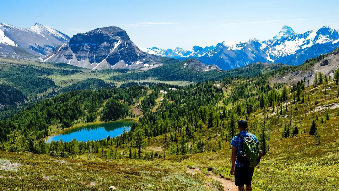 Walking in the Canadian Rockies