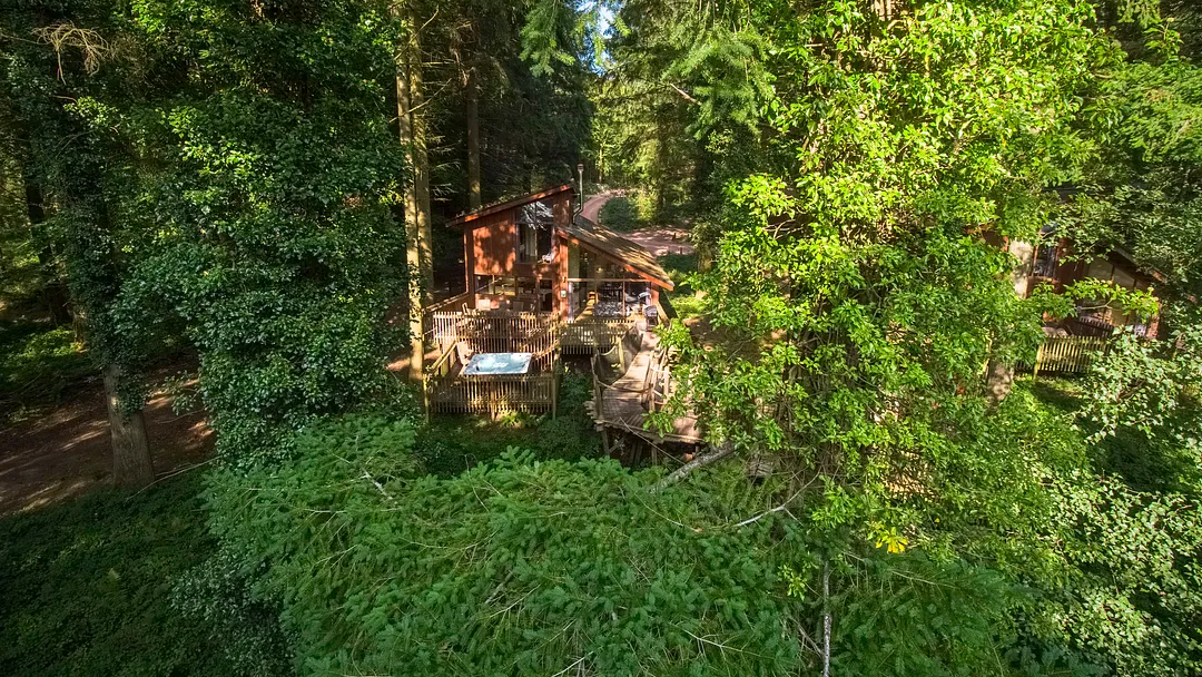 Woodland - Golden Oak Treehouse, Forest of Dean, Gloucestershire