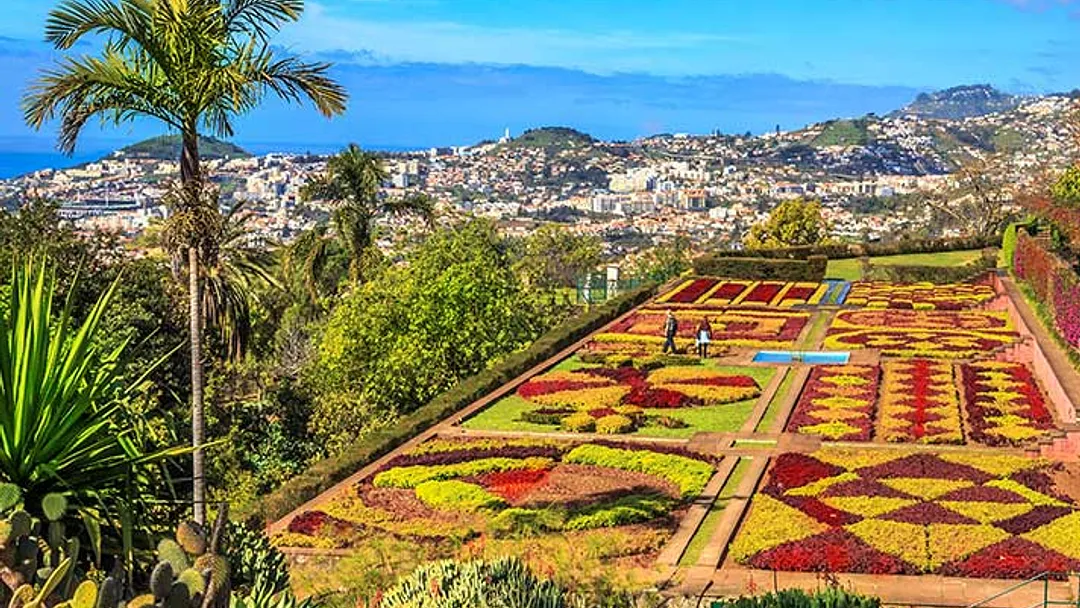 Autumn Warmth in the Canary Islands