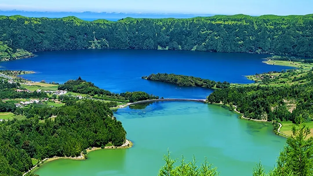 Whales & Volcanic Wonders of the Azores & Madeira