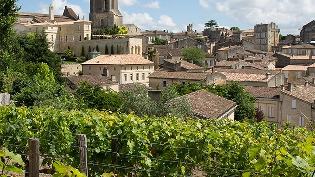 Harbours & Vineyards of France
