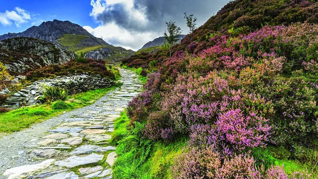 Southern Snowdonia Guided Walking