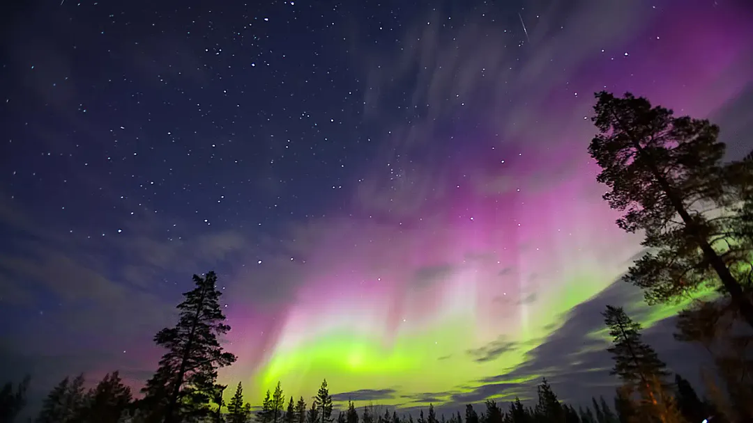 Savour the Northern Lights on The North Cape Line - North