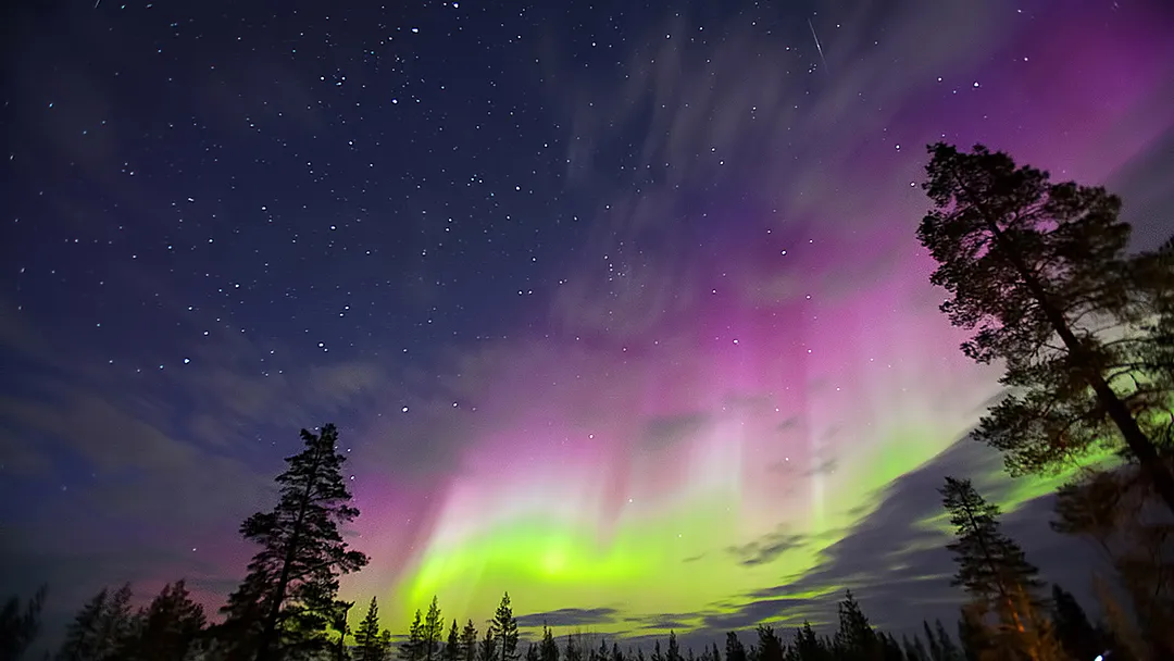 Savour the Northern Lights on The North Cape Line - North