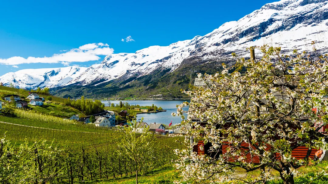 The Inner Fjords Explorer