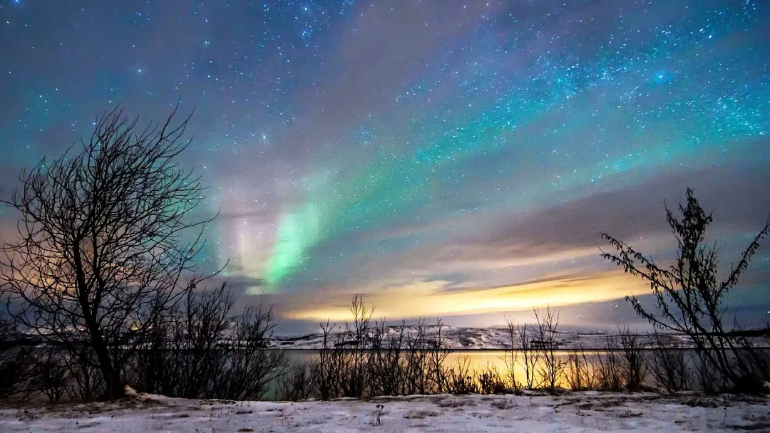 Astronomy Cruise on the Coastal Express