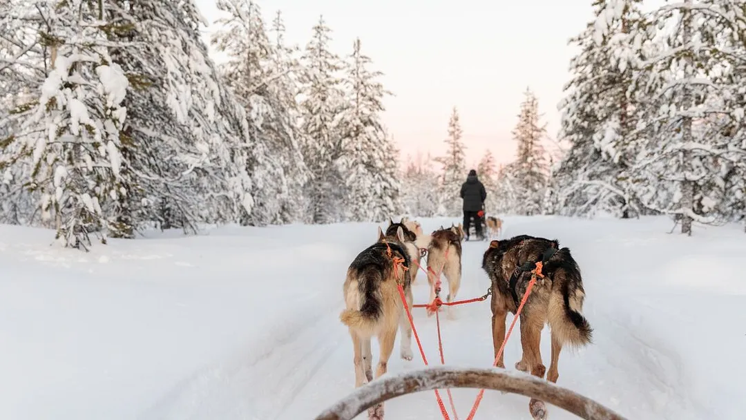 Finnish Lapland Winter Family Holiday