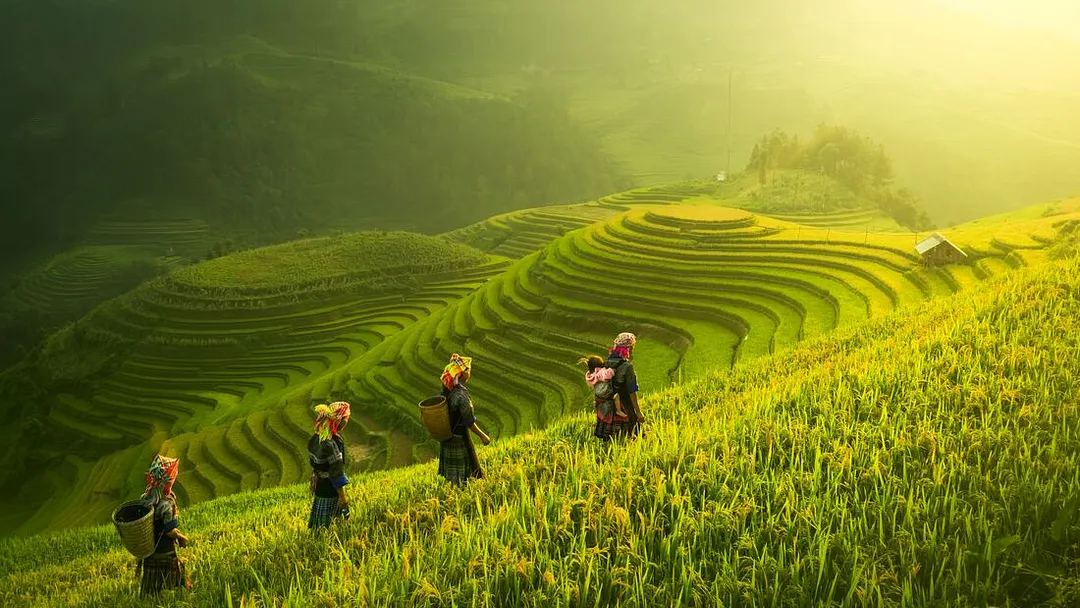 Premium Walking & Hiking in Vietnam