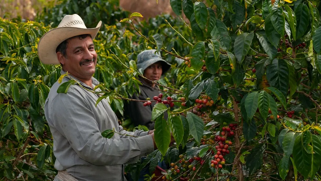 Discover Guatemala, Honduras & El Salvador
