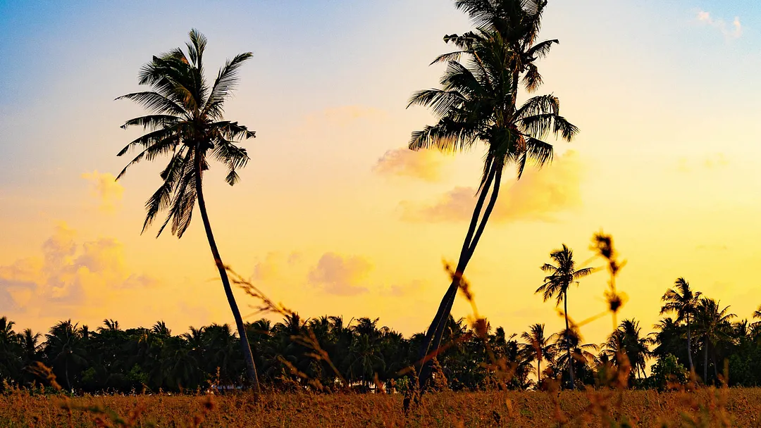 Maldives: Beyond the Beaches