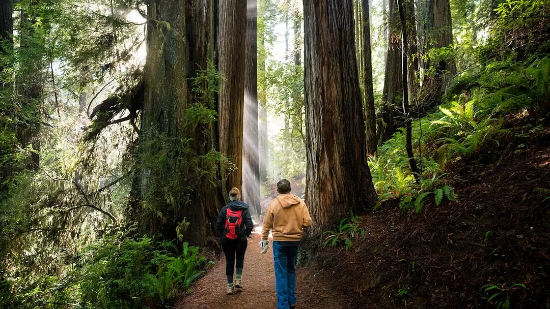 West Coast Discovery