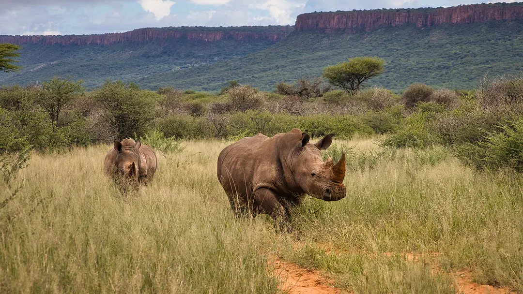 Namibia Highlights