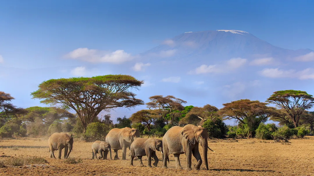 Serengeti & Kilimanjaro - Marangu Route