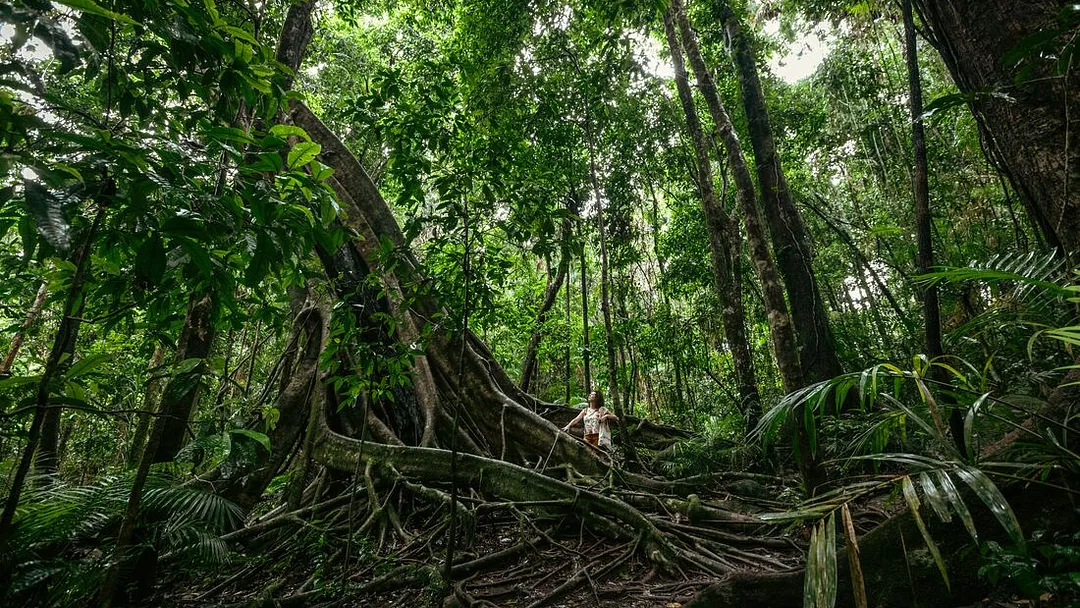 North Queensland Adventure