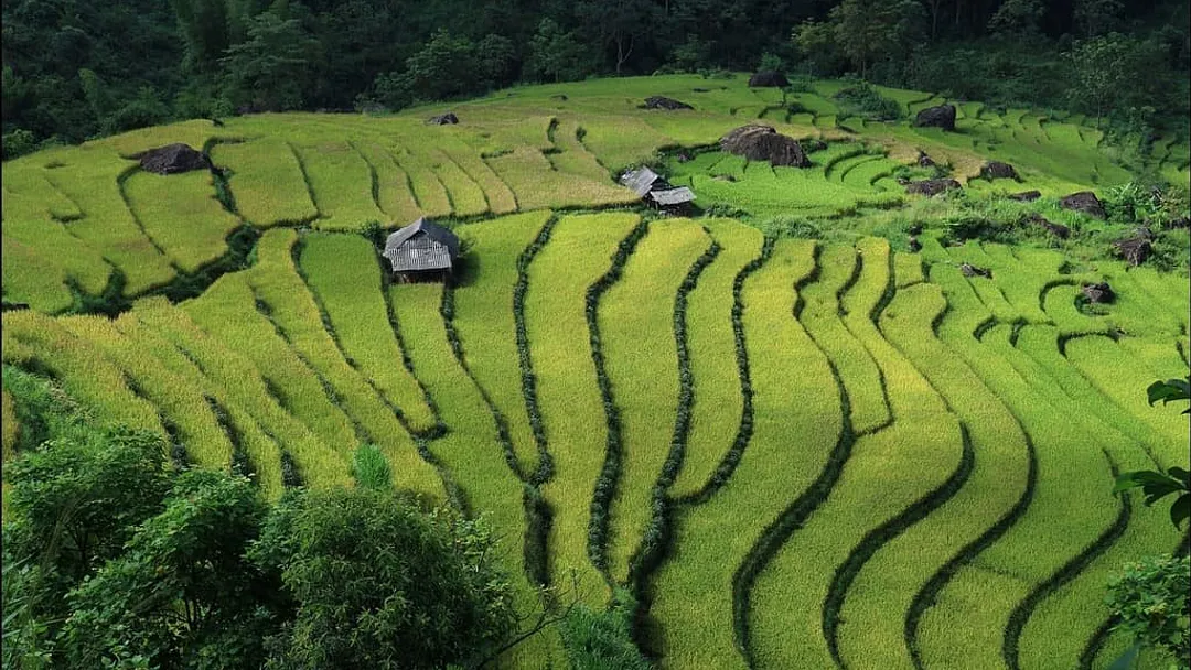 Vietnam Discovery: Hanoi, Ha Long Bay, Hue, Hoi An & the Mekong Delta