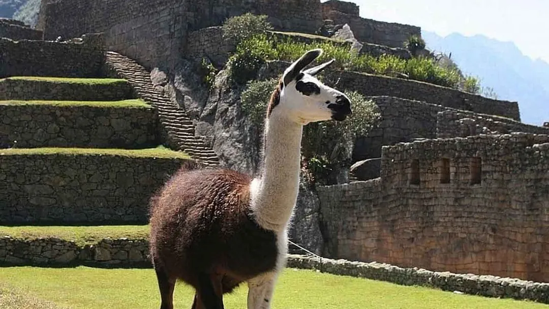 Solo Traveller: Mystical Peru – Machu Picchu & Lake Titicaca